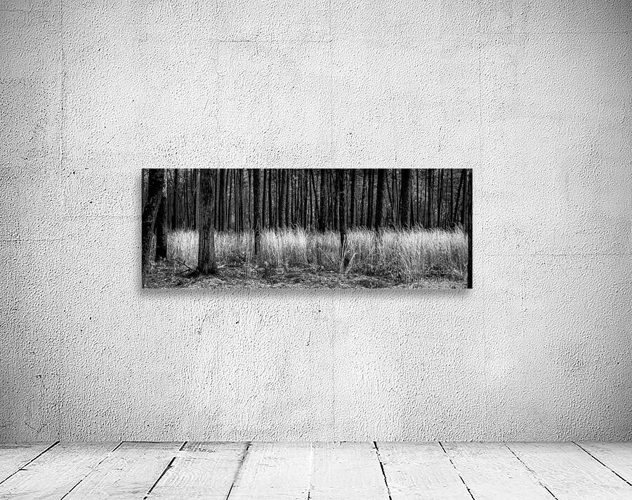 Infrared Forest Wall Preview