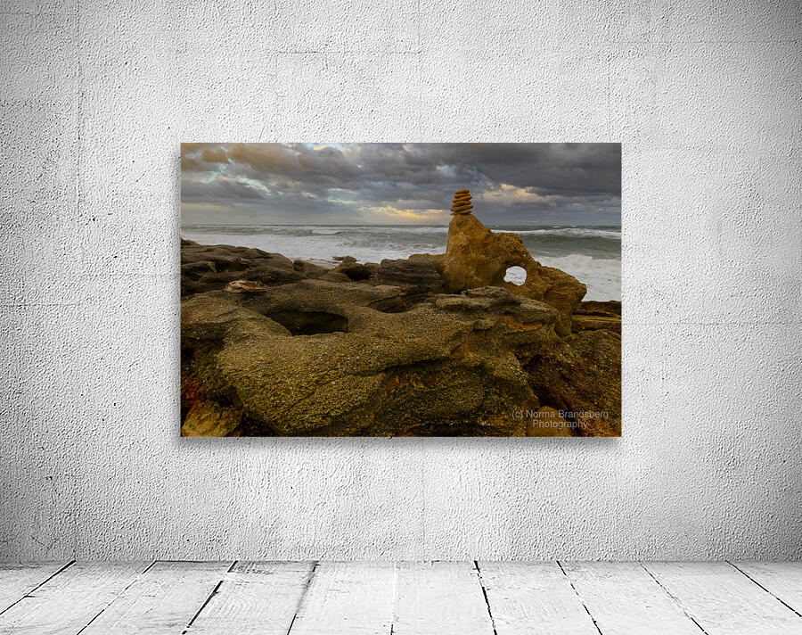 Palm Coast Ocean  Cairns Wall Preview