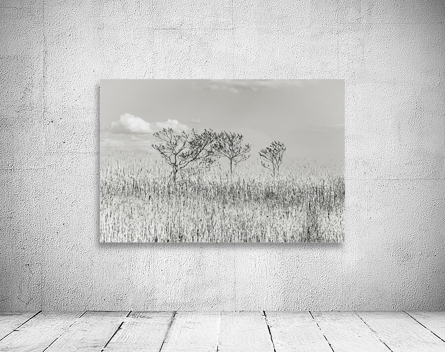 Blowing in the Winds Wall Preview