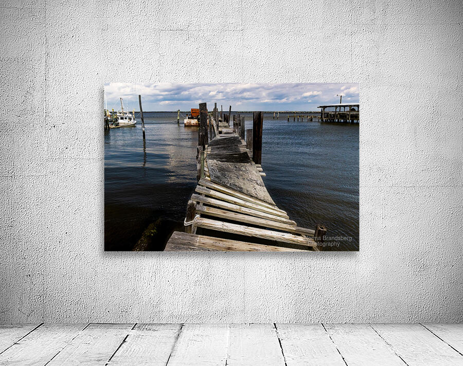 Old Twisted Dock Convolutions Wall Preview