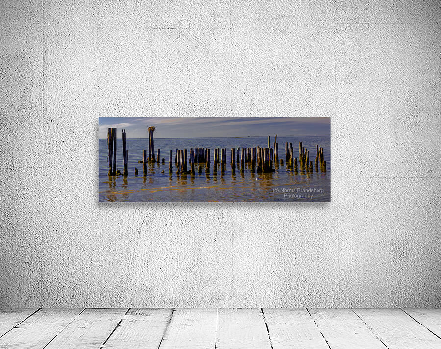 Cape Charles Pilings Wall Preview