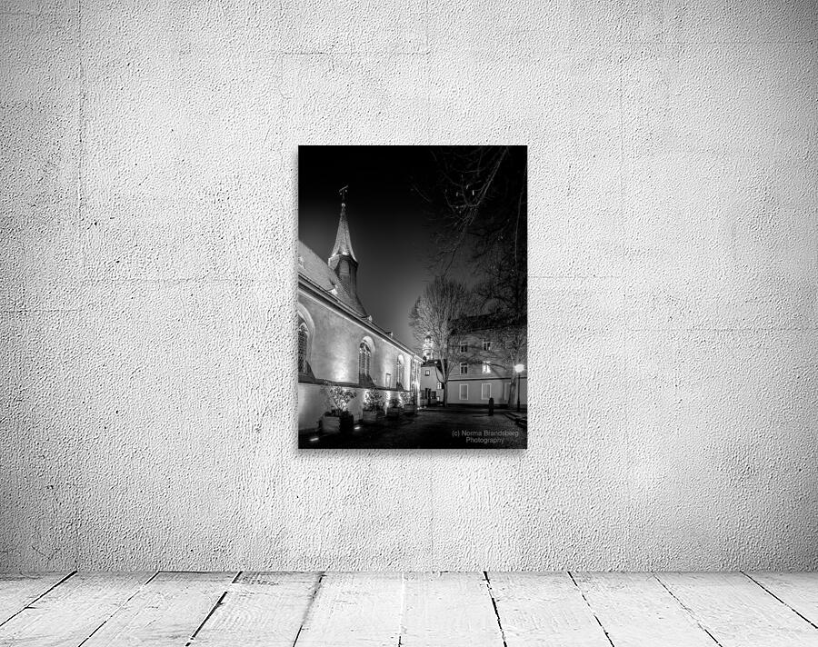 Hochster Schloss and Saint Justinus Church Wall Preview