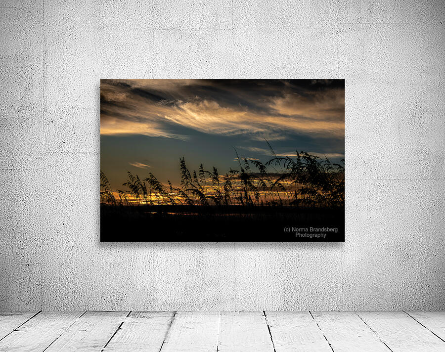 Hilton Head Beach Sea Oats Wall Preview