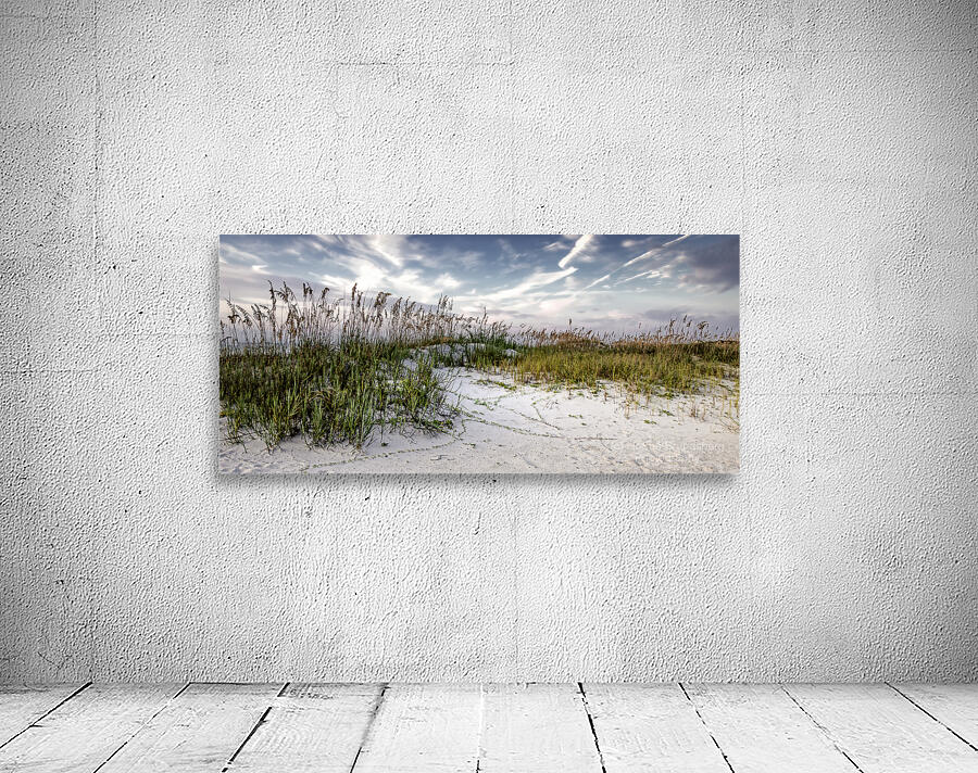 Hilton Head Sand Dunes Wall Preview