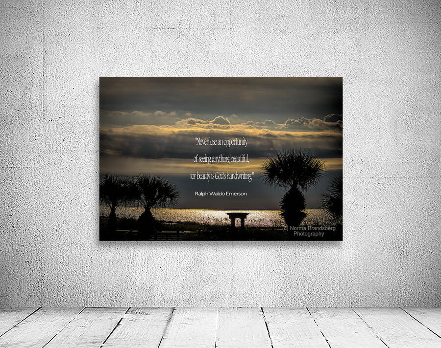 Beauty by Emerson Wall Preview