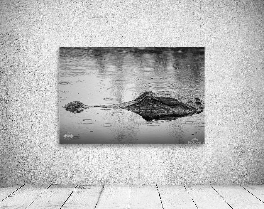 Whos the Real Villian Wall Preview