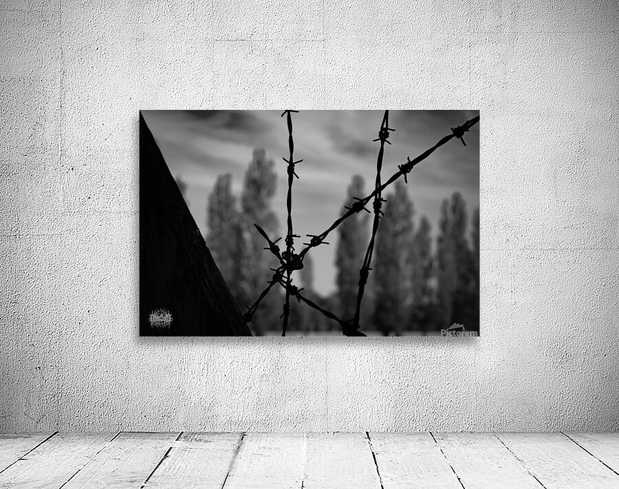 They Cannot Hurt Him Anymore Aperçu sur mur