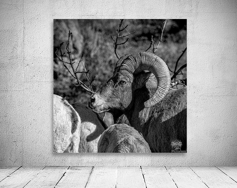 The Night Time is the Right Time Wall Preview