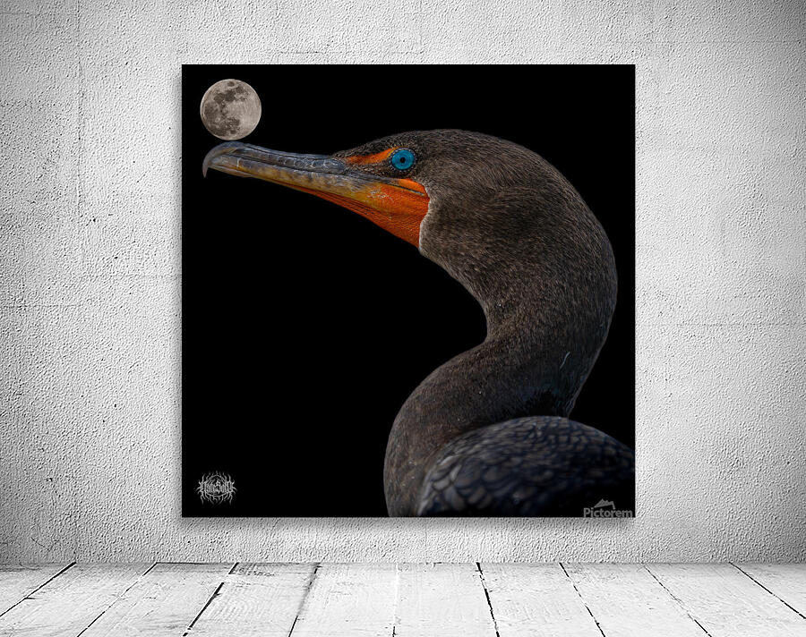 It s Called Balance Wall Preview