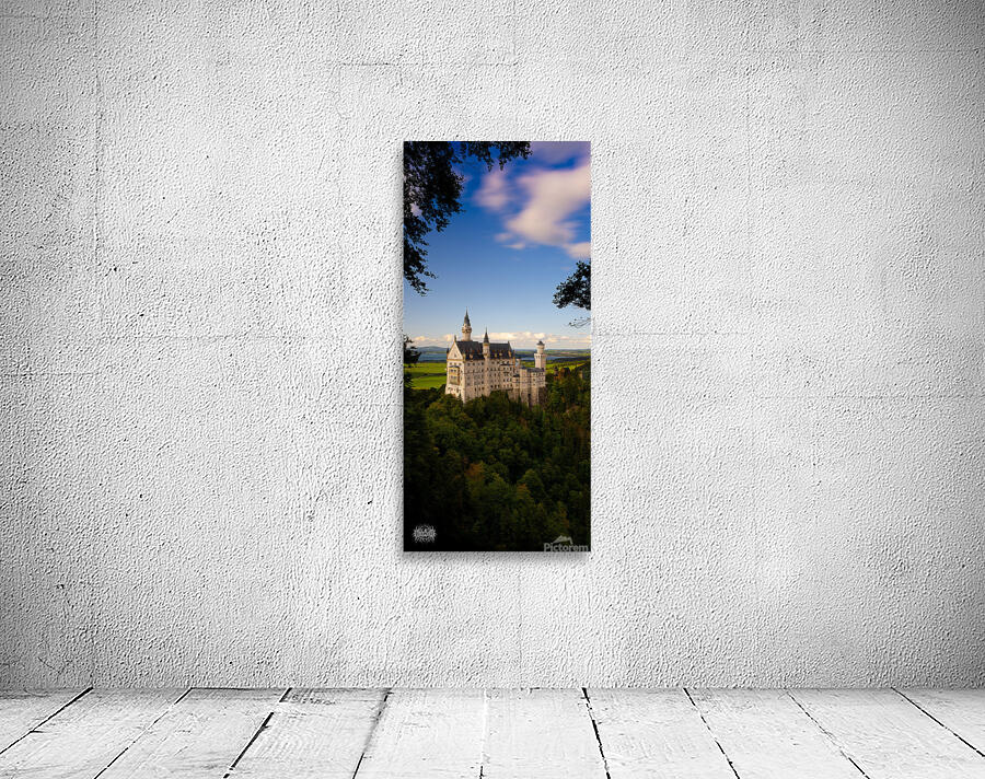 Magic Mushroom Kingdom Wall Preview