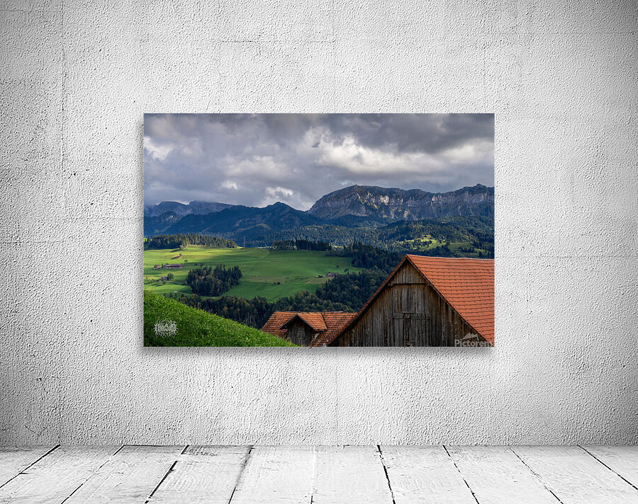 Rollin Rollin Rollin Rollin Wall Preview