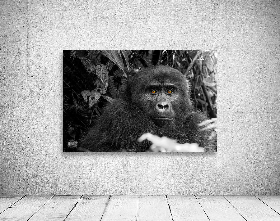 We Are Here Now Wall Preview