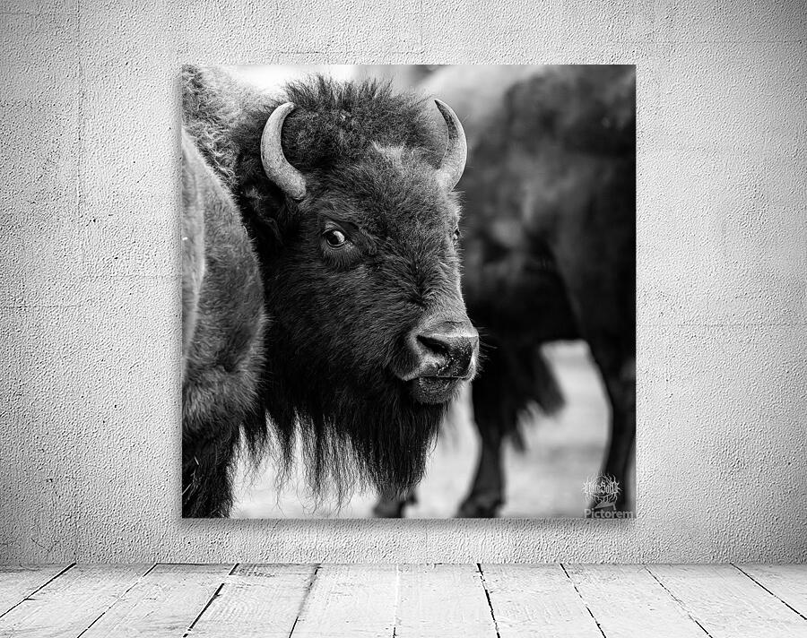 Look Back At It Wall Preview