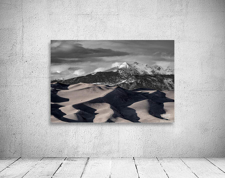 We are so Alike Wall Preview