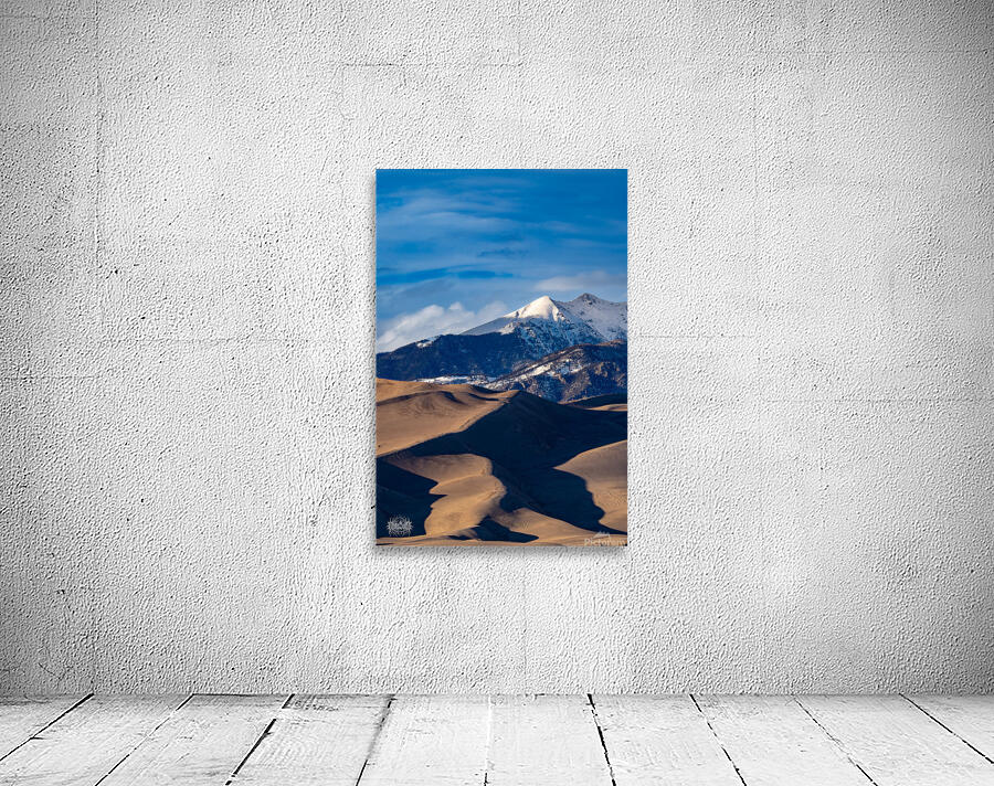 Where They Found Us Wall Preview