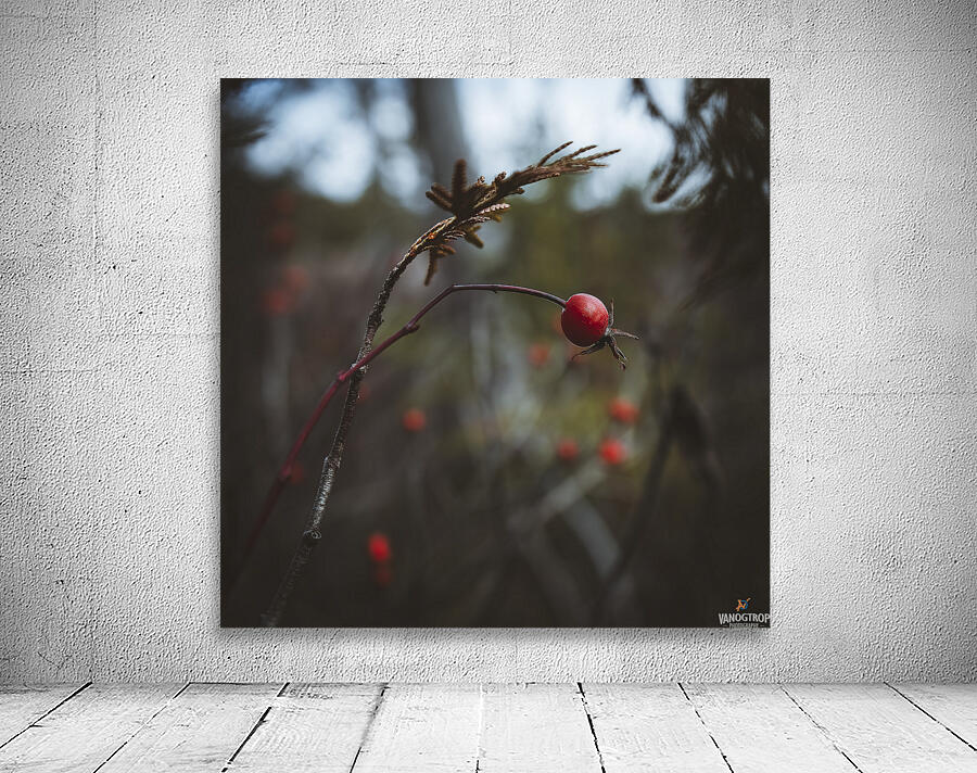  VOP5728 by vanOgtrop Photography