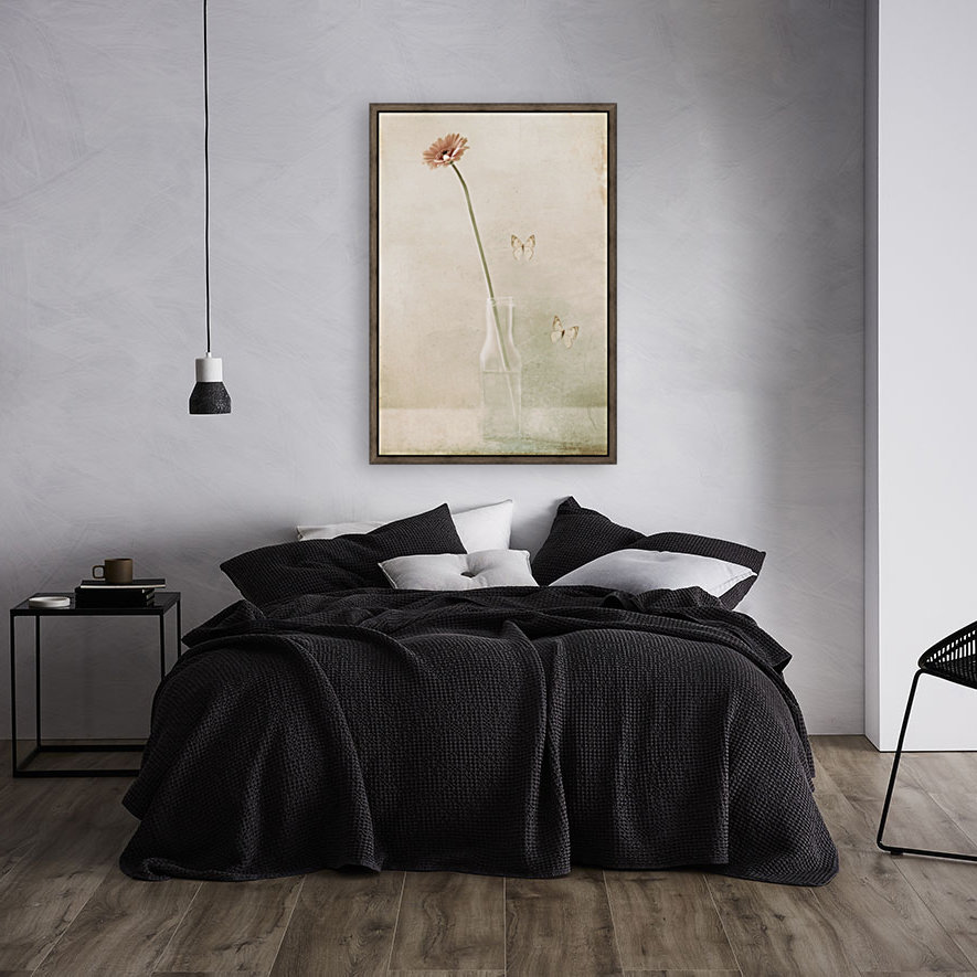 Miss Daisy Reproduction