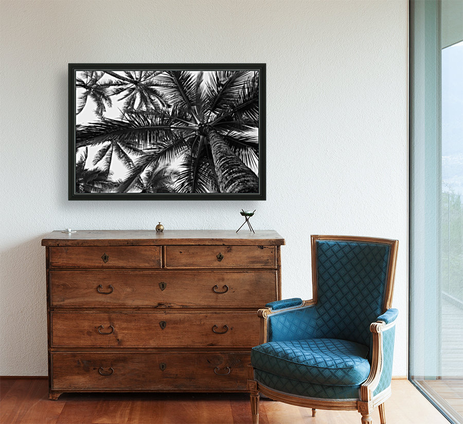 Low angle view of coconut palm trees in black and white; Honolulu, Oahu, Hawaii, United States of America Reproduction