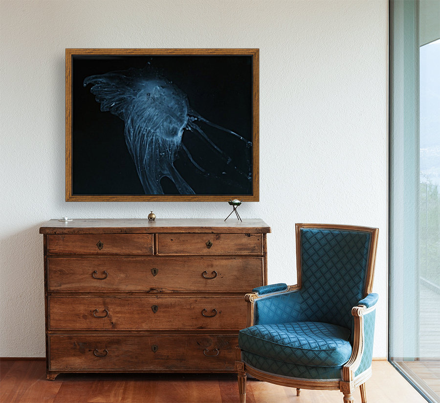 Glowing blue jellyfish in the dark water Reproduction