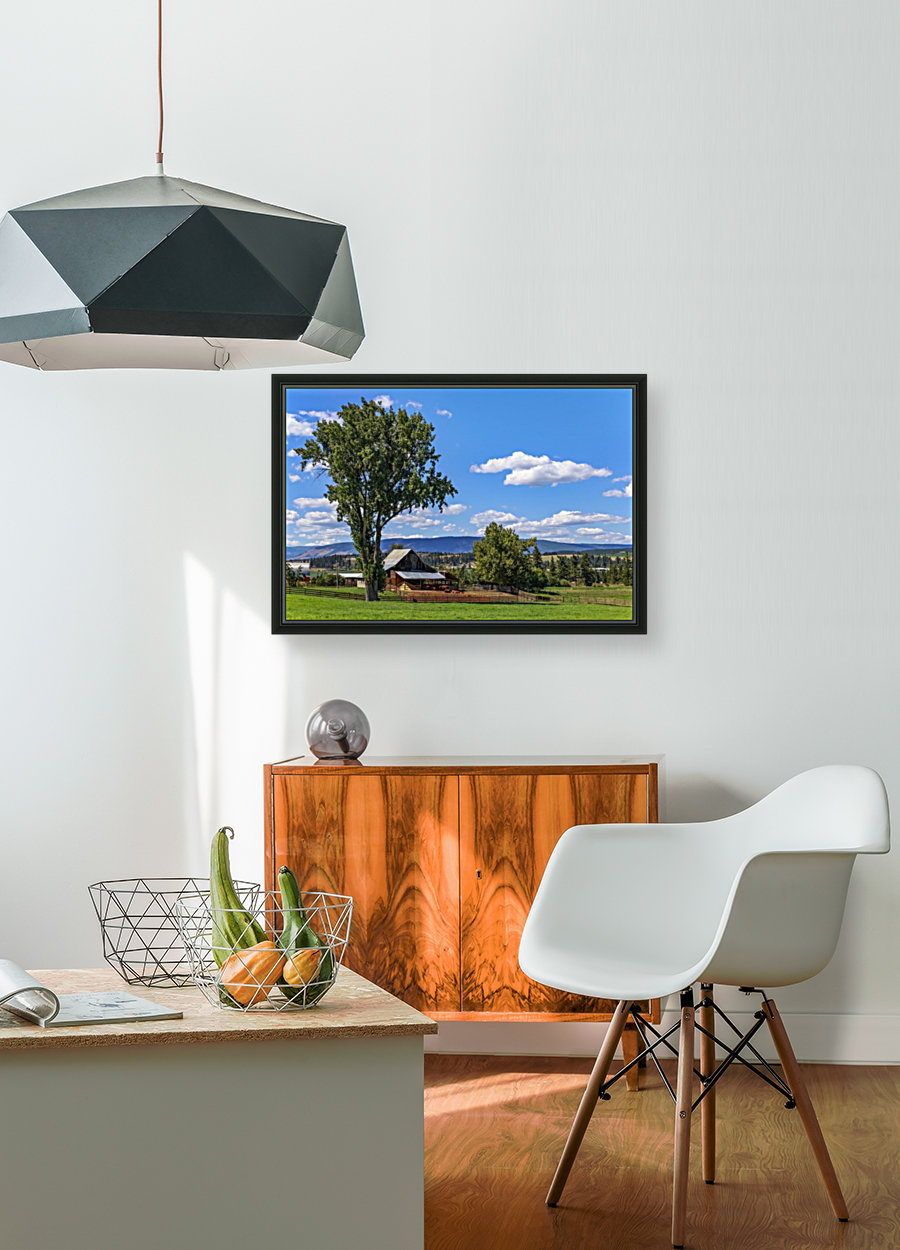 Beef cows rest in the shade of the barn roof under a blue sky with fluffy white clouds in the summer in the North Okanogan; British Columbia, Canada Reproduction