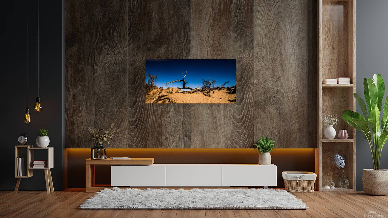 Death Valley Night Reproduction