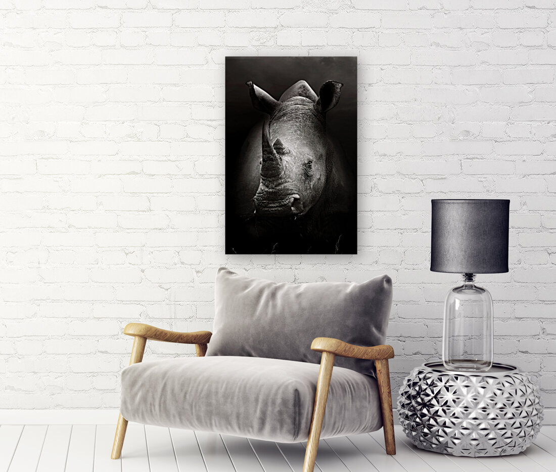 Rhinoceros portrait Reproduction