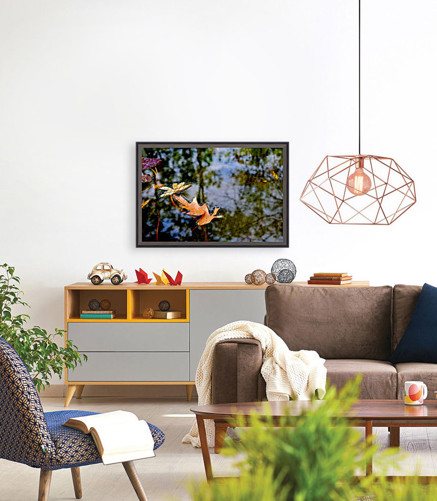 Koi Pond Delight Reproduction