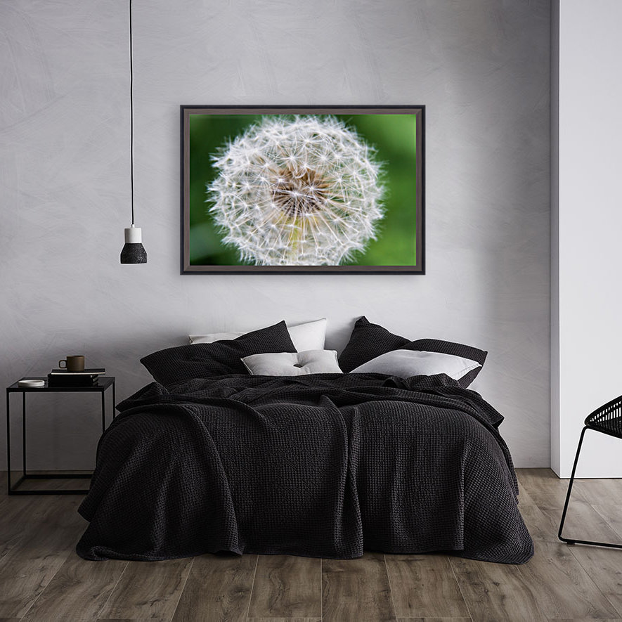 Dandylion Reproduction