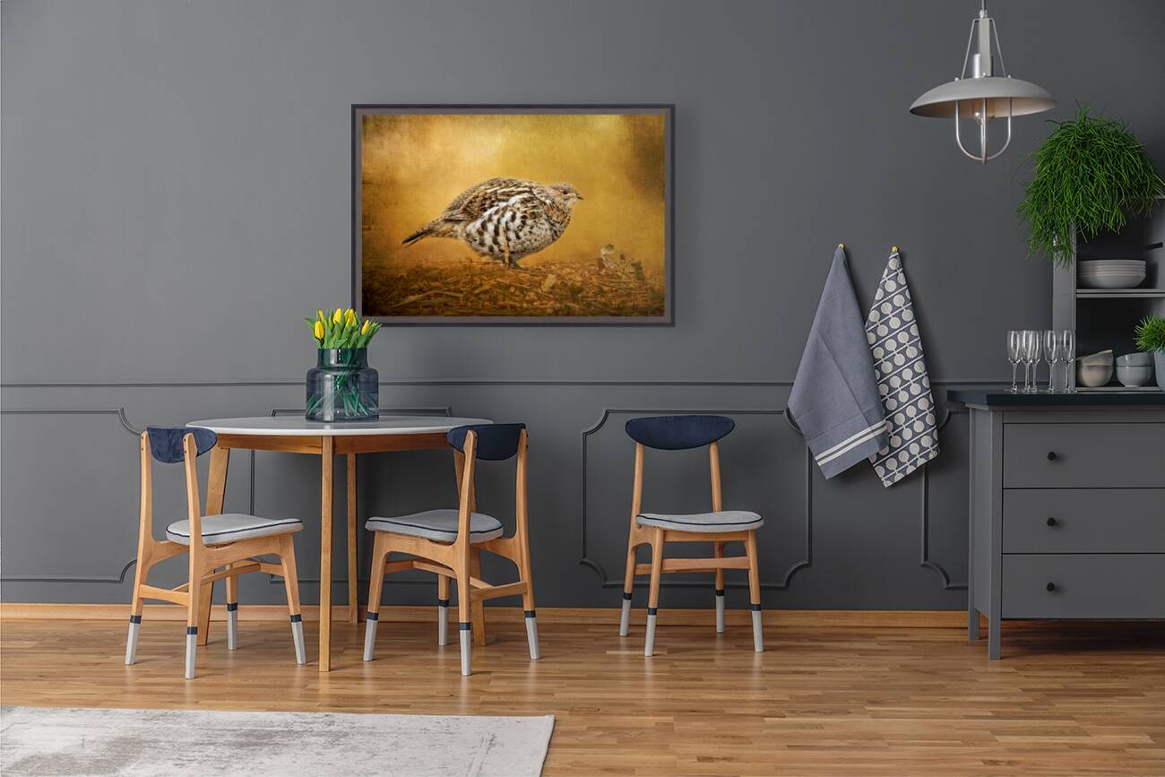 Female Ruffed Grouse Reproduction