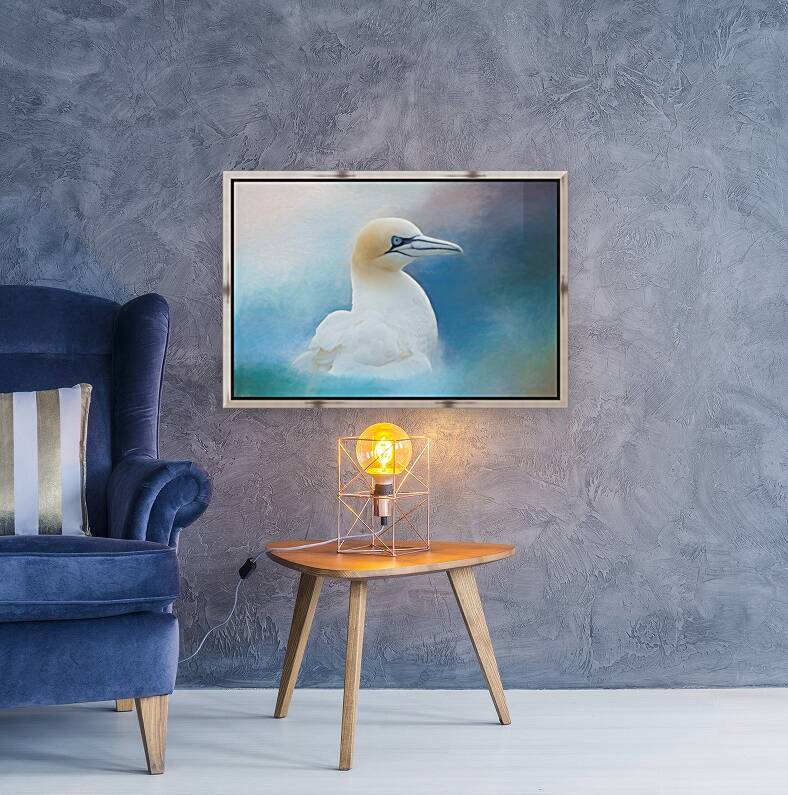 Northern Gannet ver2 Reproduction