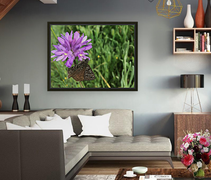 Butterfly on Wildflower Reproduction