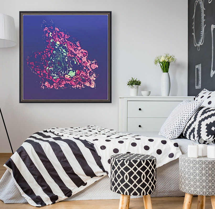 SOFT EXPLOSION Reproduction