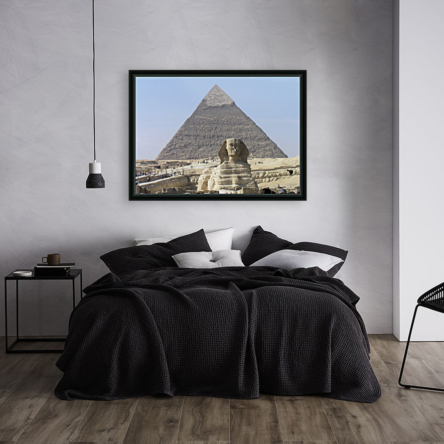 Egypt 3 Reproduction