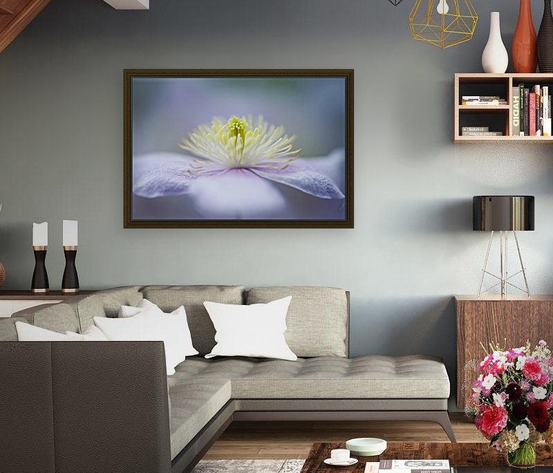 Mayleen Reproduction