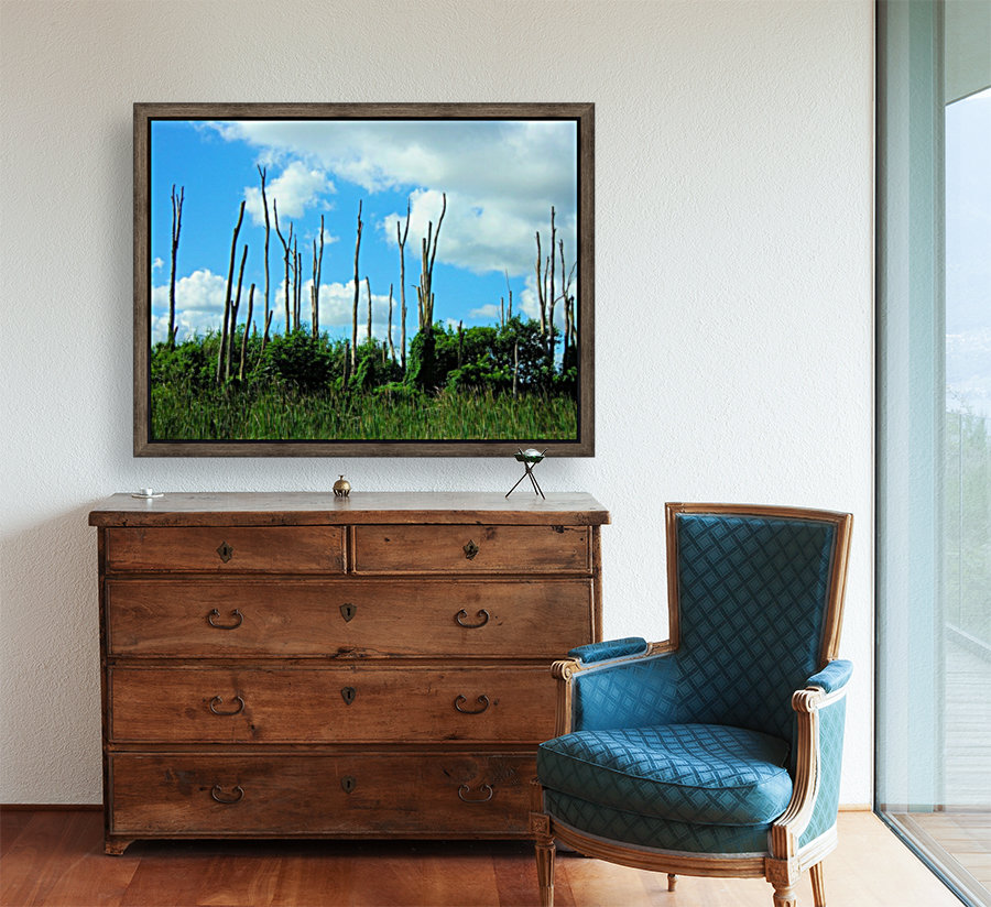 Everglades2 Reproduction