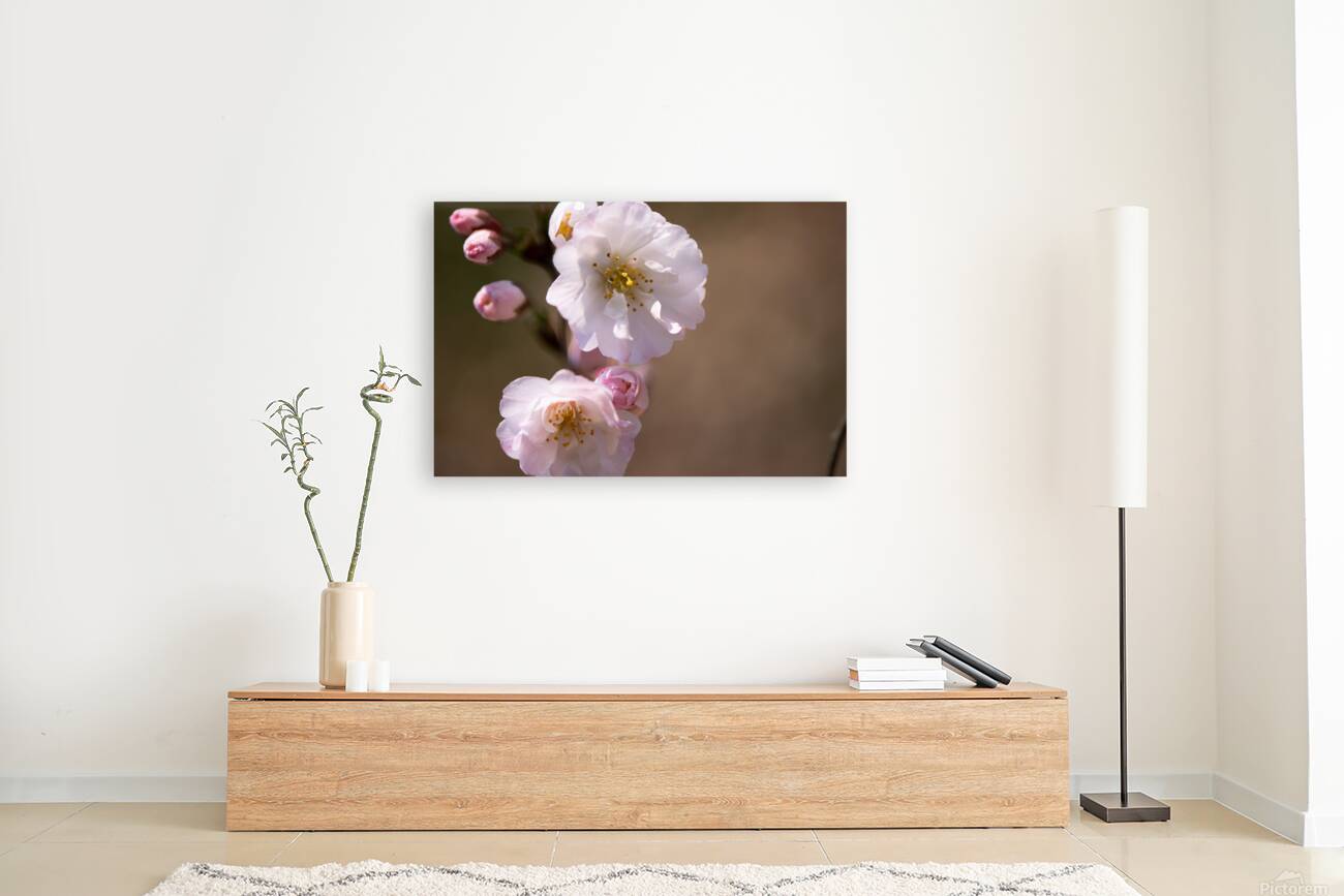 Spring - Shogetsu 3 Reproduction