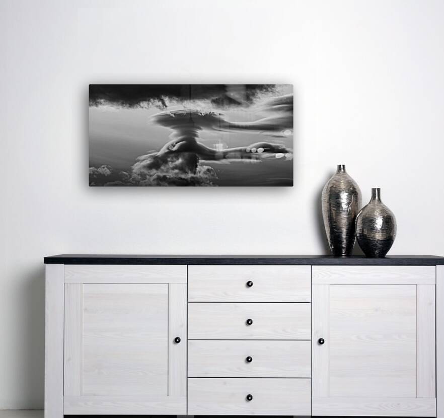 The Guide - Black and White Reproduction