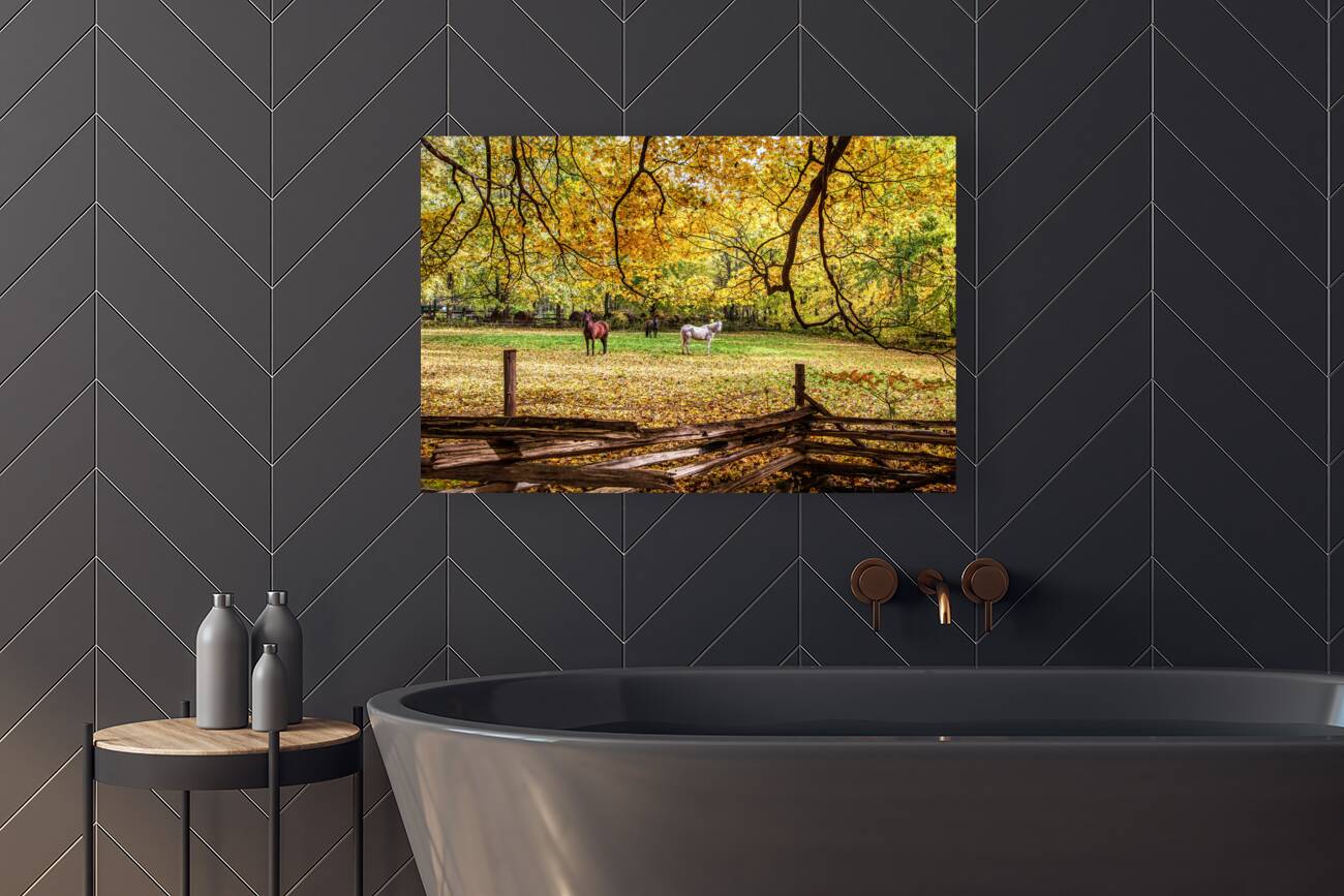 What are You Staring At Reproduction