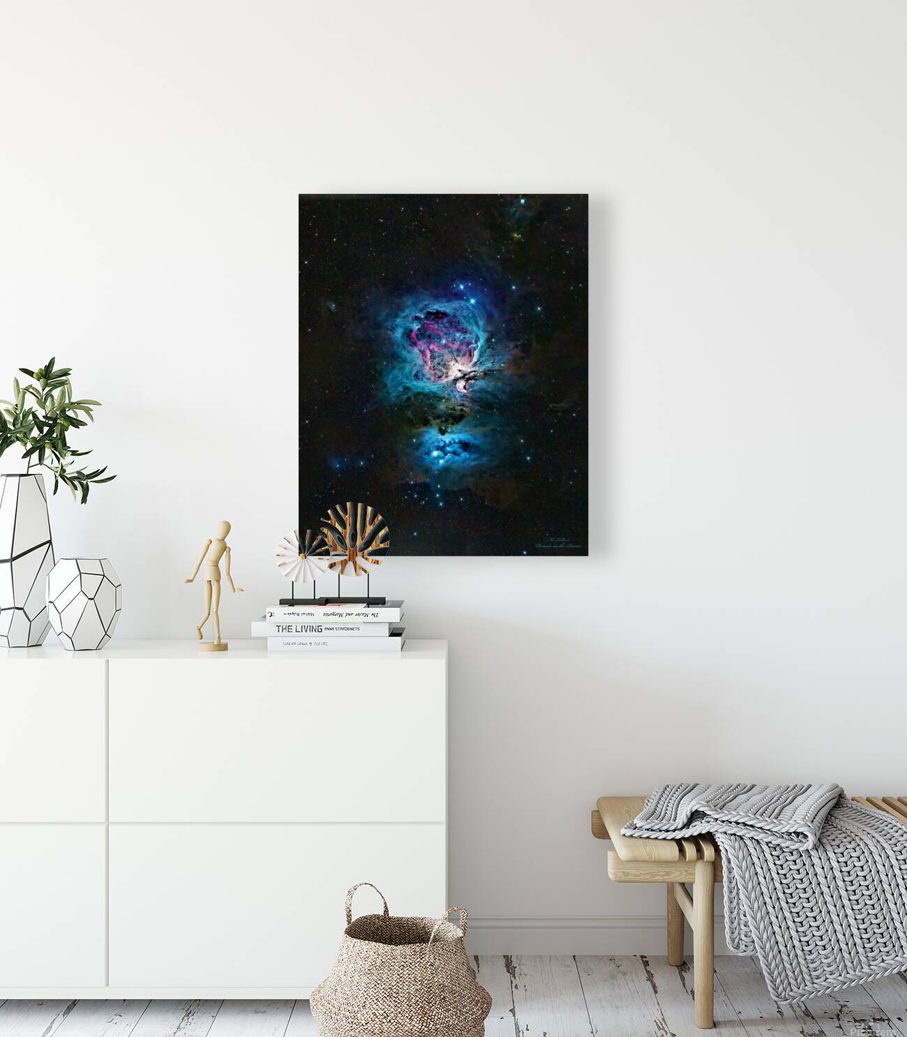 Orion Nebula  Reproduction