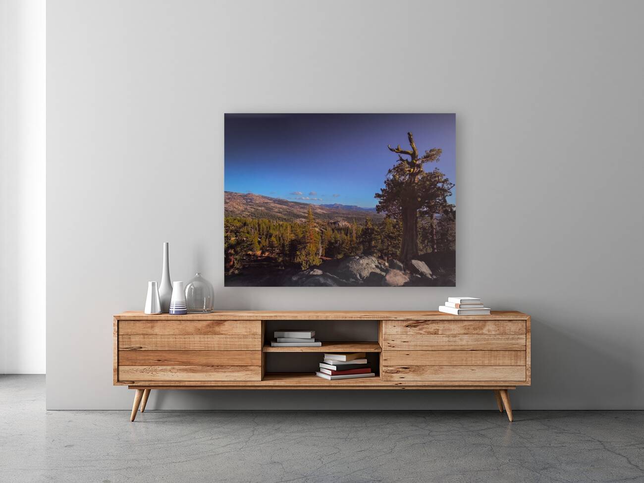 Eldorado National Forest Reproduction