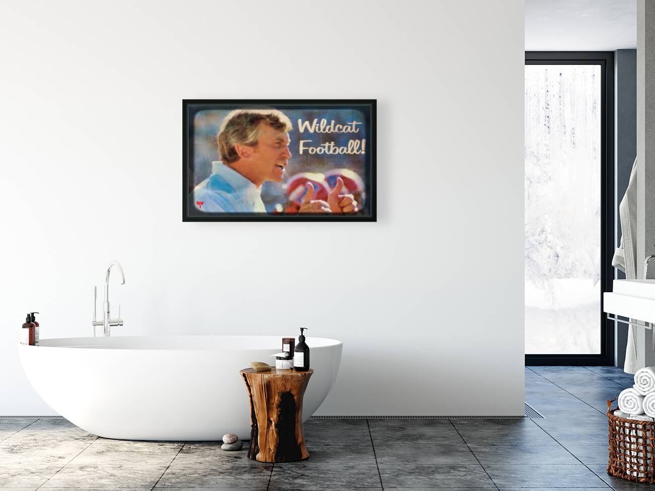 1981 Arizona Wildcats Football Viewfinder Art  Reproduction