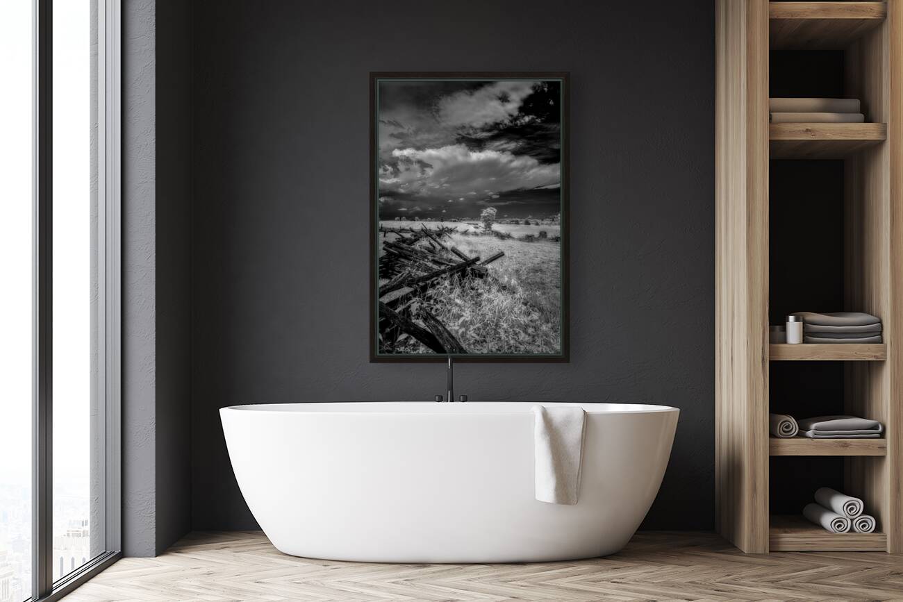 The Balance of Natures Chaos Reproduction