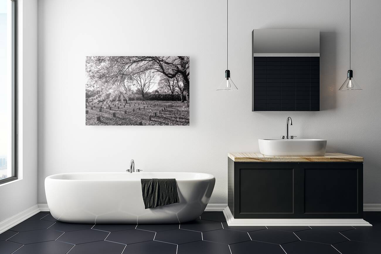 lynchburg old city cemetery BWpink Reproduction