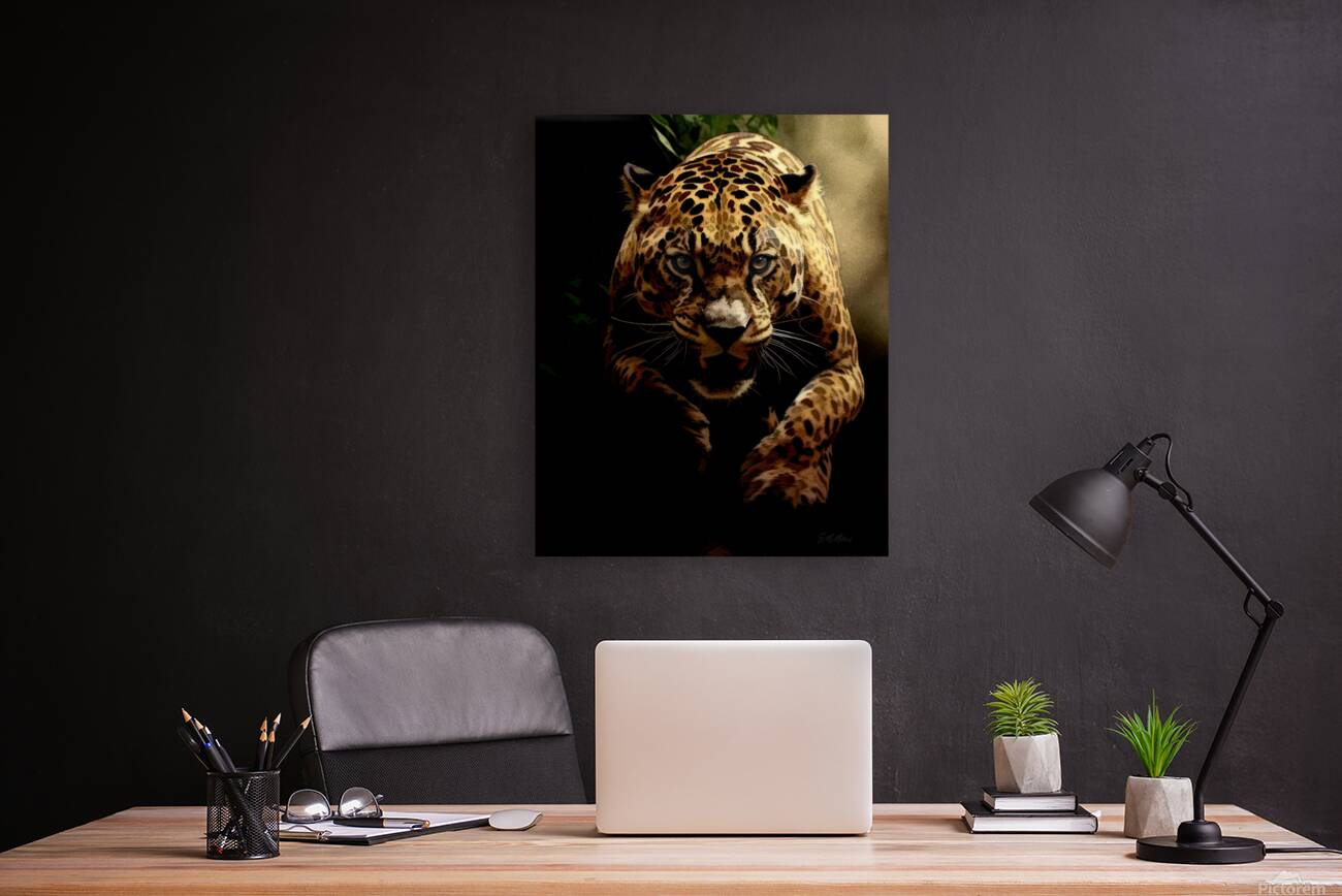 Jaguar on the Hunt  Reproduction