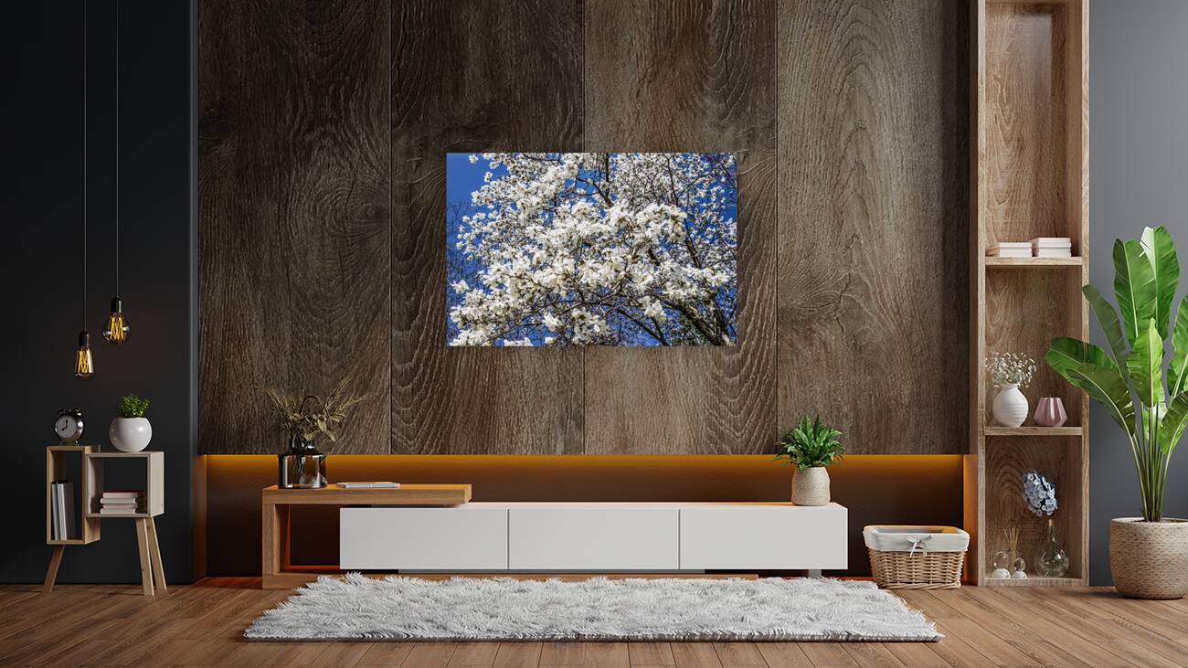 Mature Magnolia Mamma Reproduction