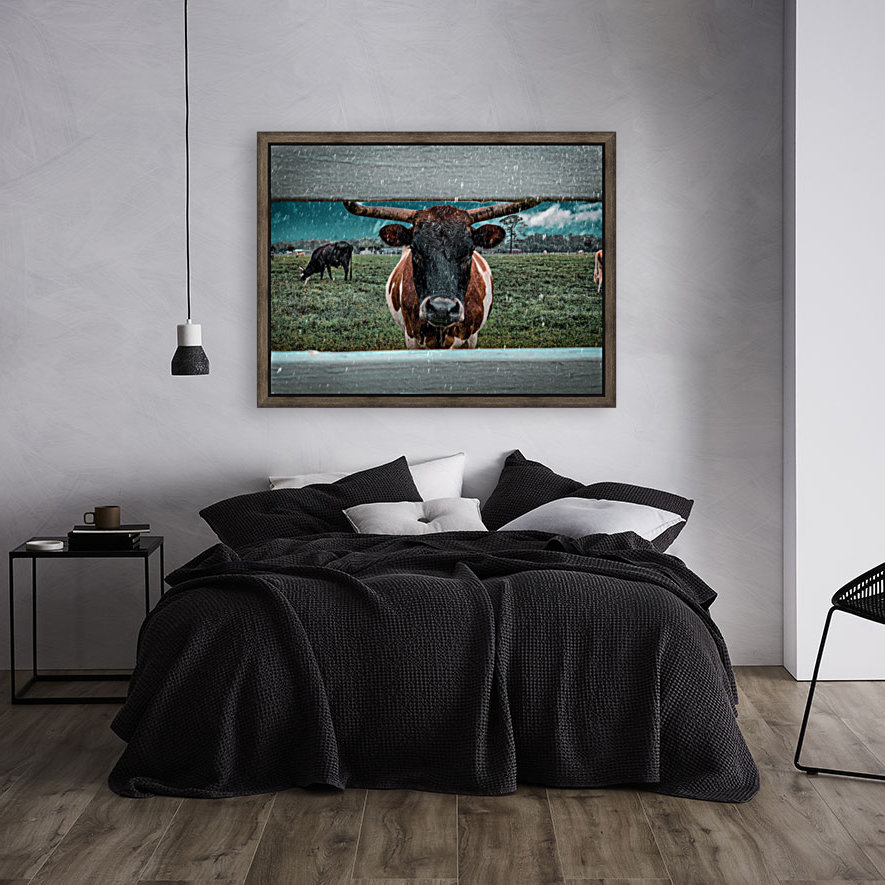 bull in the rain Reproduction