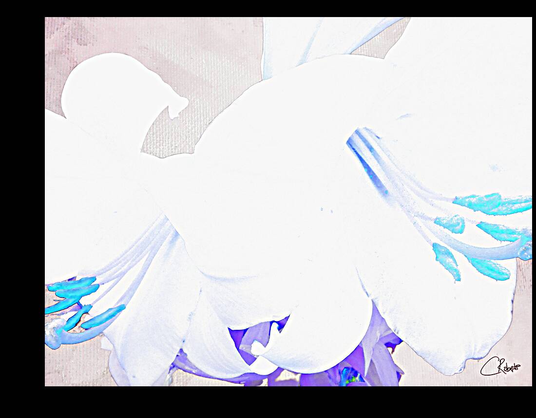 Abstract Pale Lilies Reproduction