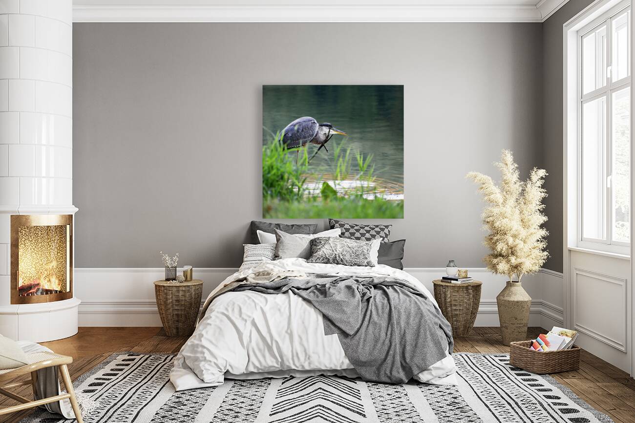 Peaks of Otter Heron Forging Reproduction