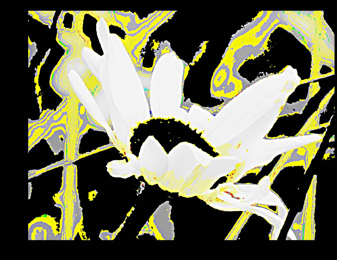 Abstract Neon Daisy Flower Reproduction