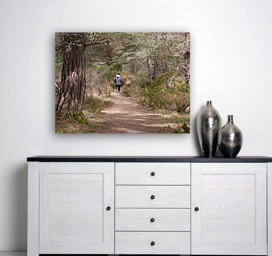  A Walk in Nature in the Scottish Highlands Reproduction